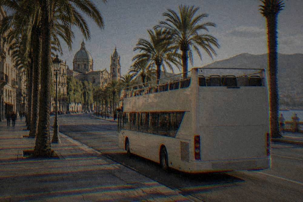 Hop-On Bus, 24-Hour Ticket, Palermo