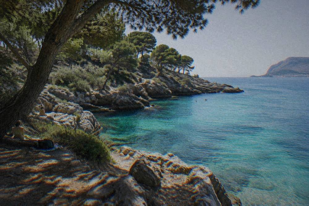 A rocky cove on a Sicilian headland with pine trees above clear turquoise water