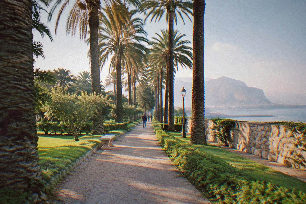 A sunlit path lined with tall palm trees and green lawns inside a walled garden