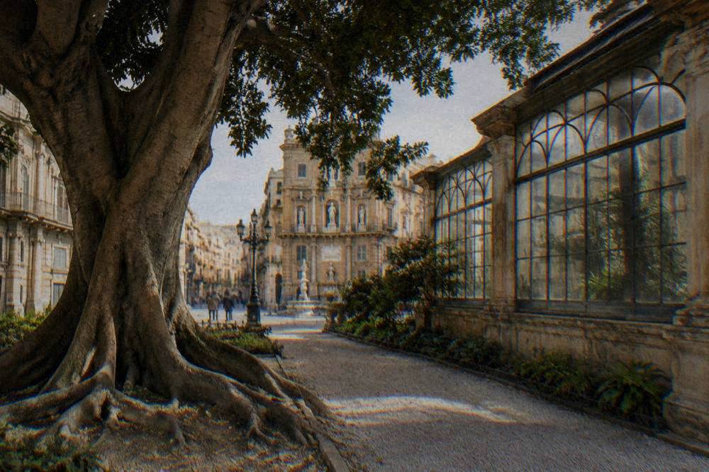 A large old tree with wide roots shading a gravel path beside a stone greenhouse