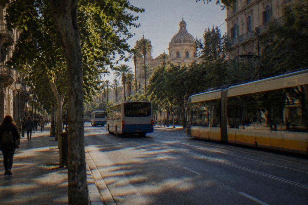 Buses and a tram passing a tree-lined street in central Palermo