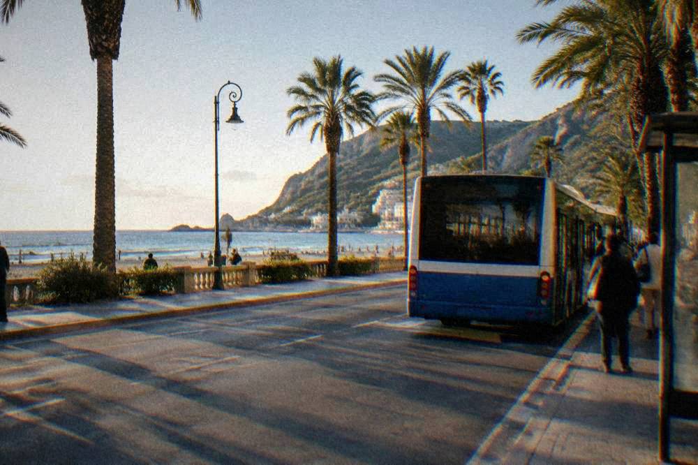 A city bus at a stop near a palm-lined square in Palermo