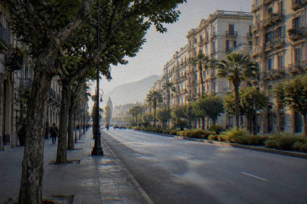 A wide tree-lined avenue in a Sicilian city with fine apartment buildings along it