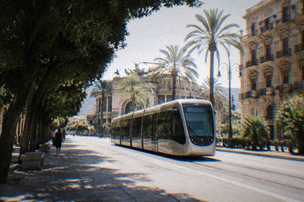 A modern tram moving along a street lined with palm trees and stone buildings