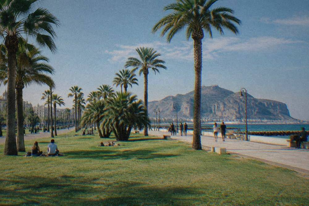 People walking and relaxing on wide lawns beside a palm-lined seafront promenade in Palermo