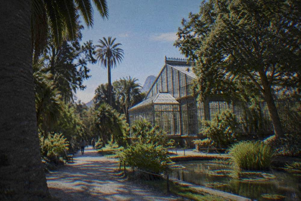 Greenhouse building with glass panels surrounded by mature trees in the garden