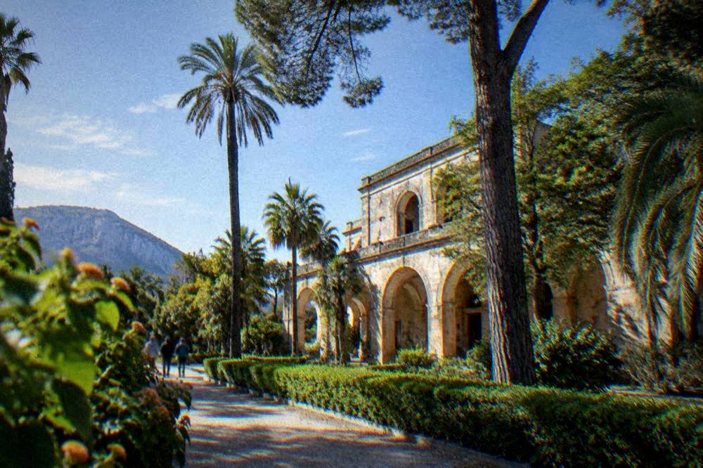 Old stone building with arched openings standing among tall trees