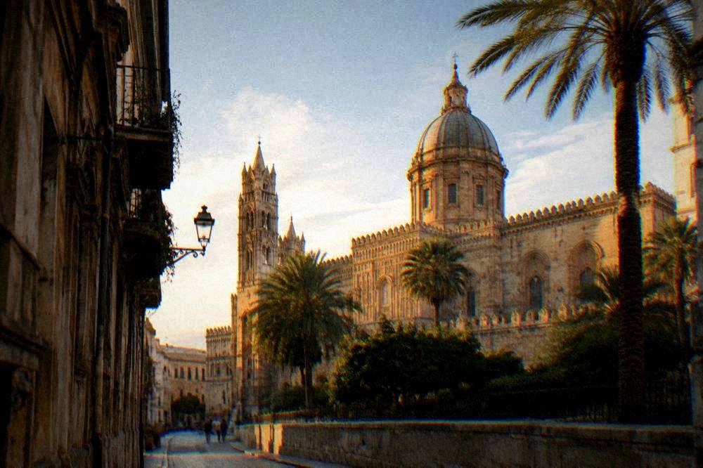 The cathedral seen from a side street with palm trees and historic buildings around it