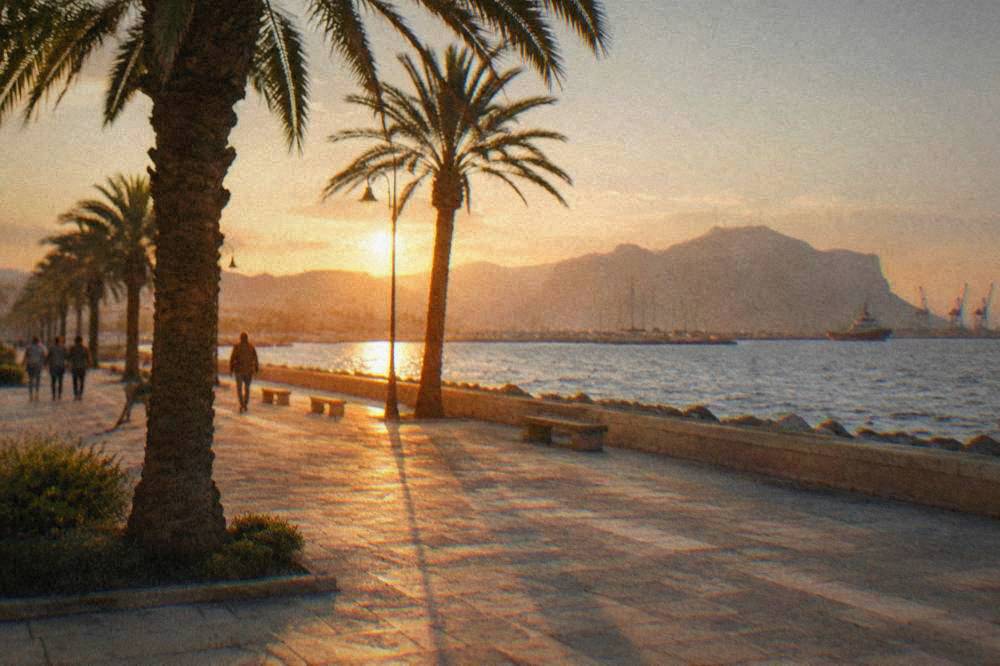 The open Foro Italico seafront beside the harbour with palm trees and the sea beyond