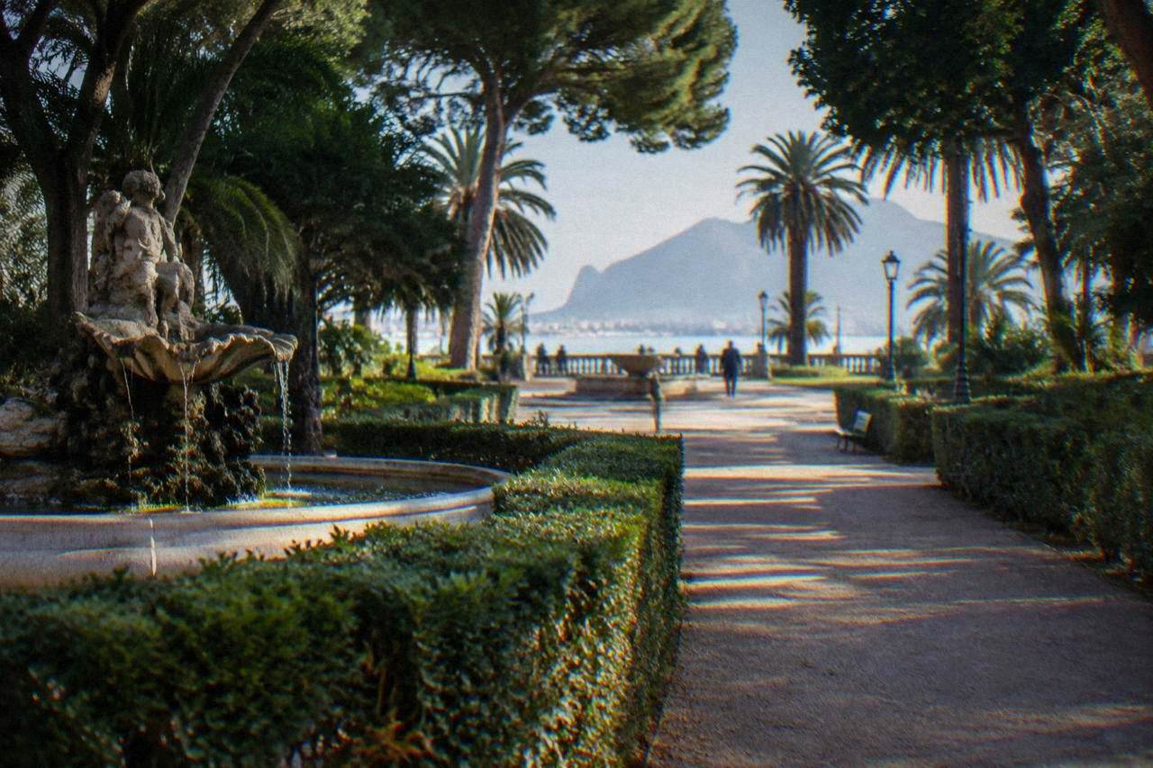 A shaded garden avenue in Villa Giulia with clipped hedges, a stone fountain and a central walkway leading to a circular plaza