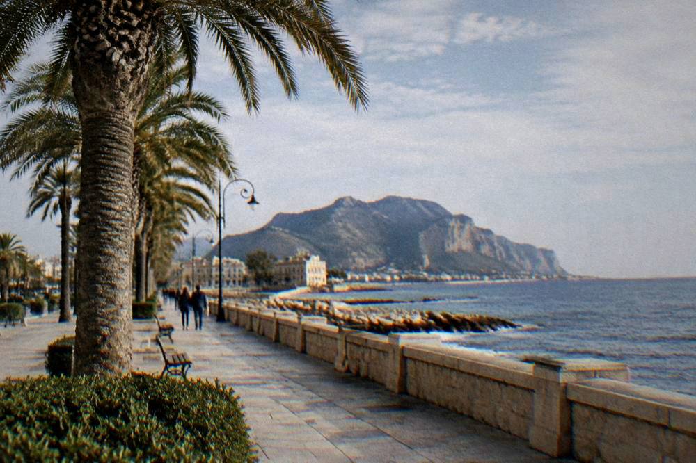 The seafront promenade beside the Foro Italico with palm trees and the sea beyond