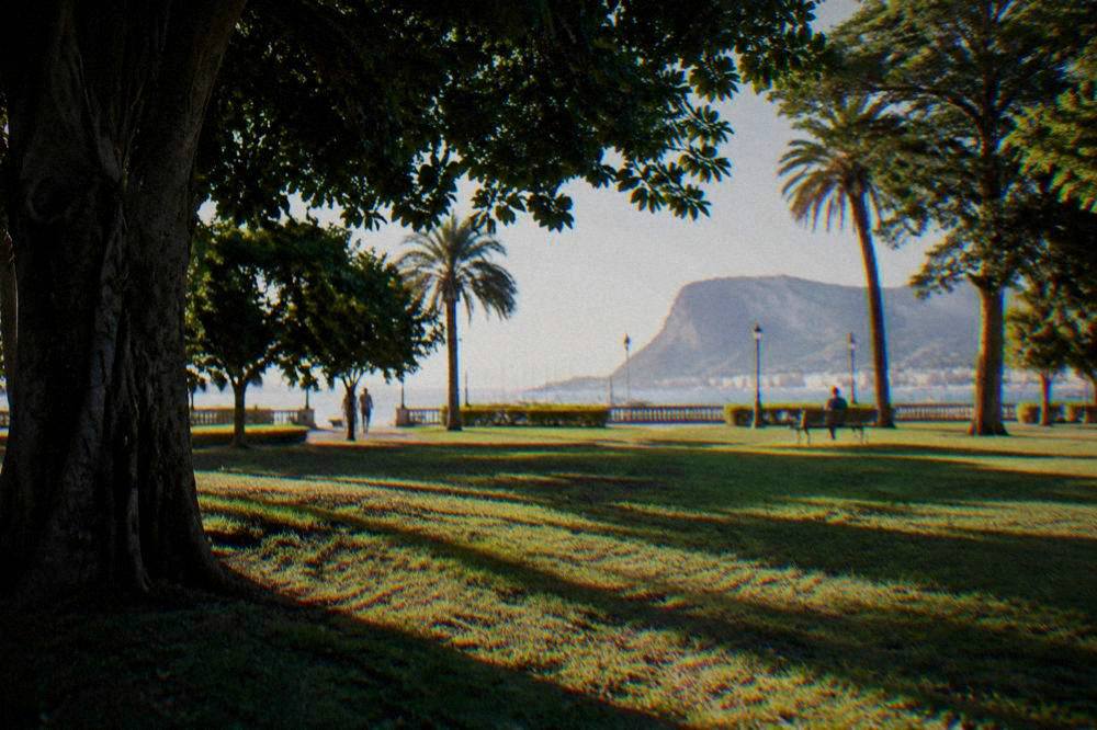 Late afternoon light across a lawn in Villa Giulia with long shadows from the trees