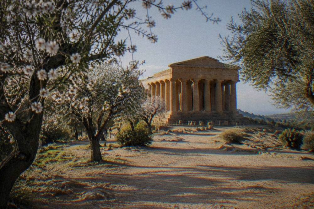 A preserved Greek temple seen from a dusty path among almond trees