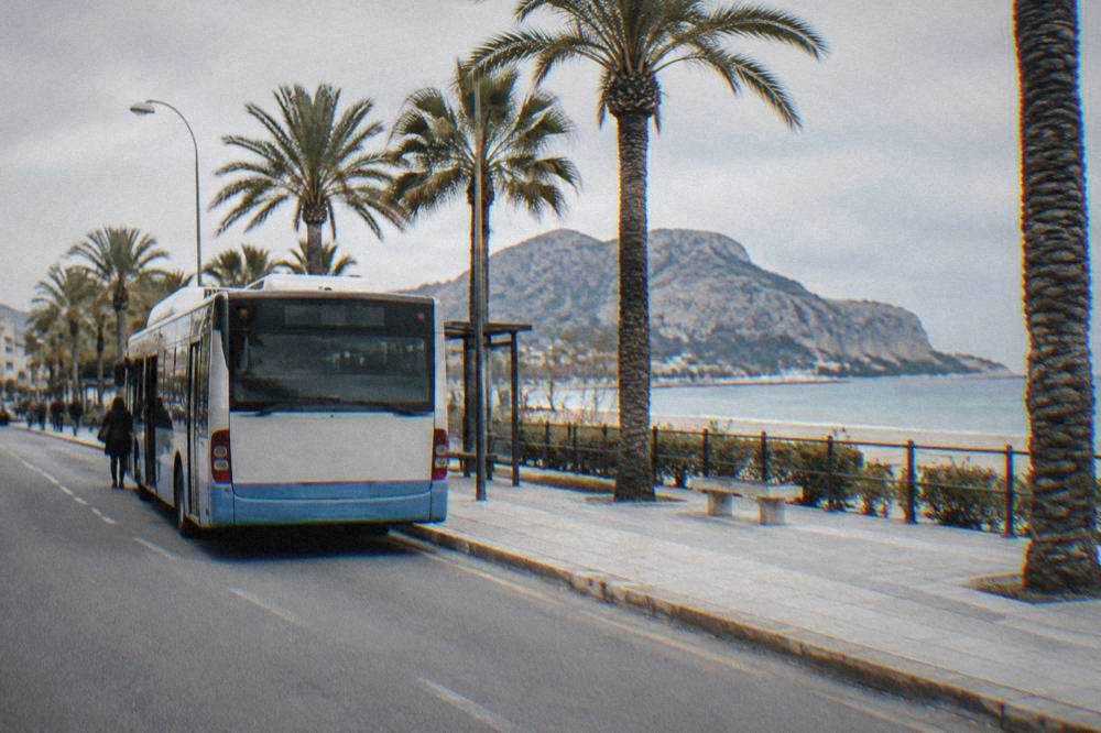 A city bus at a stop on a palm-lined street near a beachfront