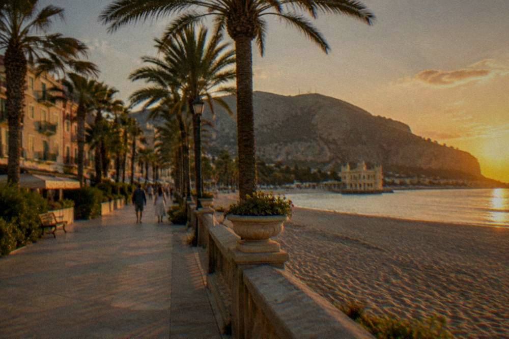 A seafront promenade lined with palm trees and colourful buildings beside the beach
