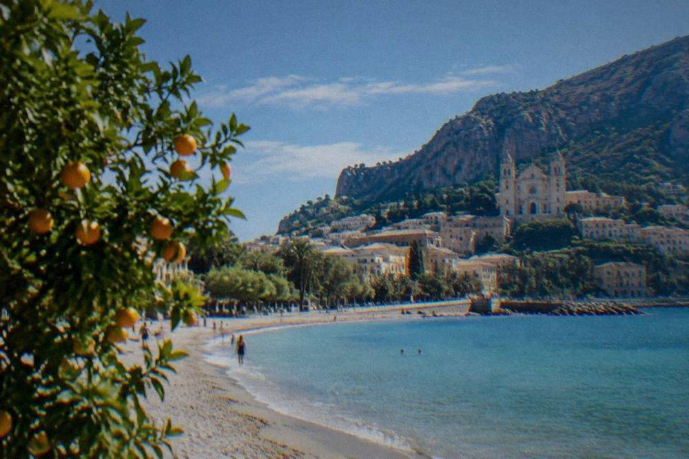 A hillside town with a cathedral facade seen above orange trees