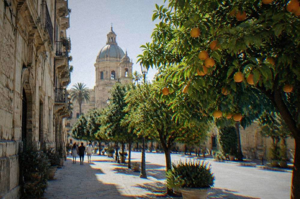 Orange trees and historic buildings along a street in Palermo in spring sunshine