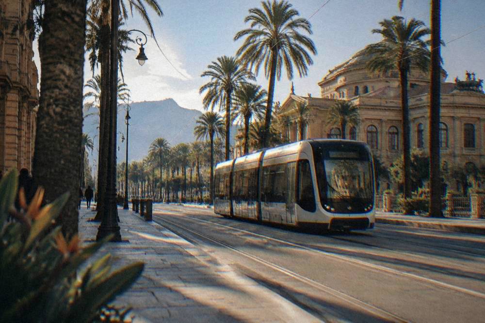 A modern tram passing palm trees on a Palermo boulevard
