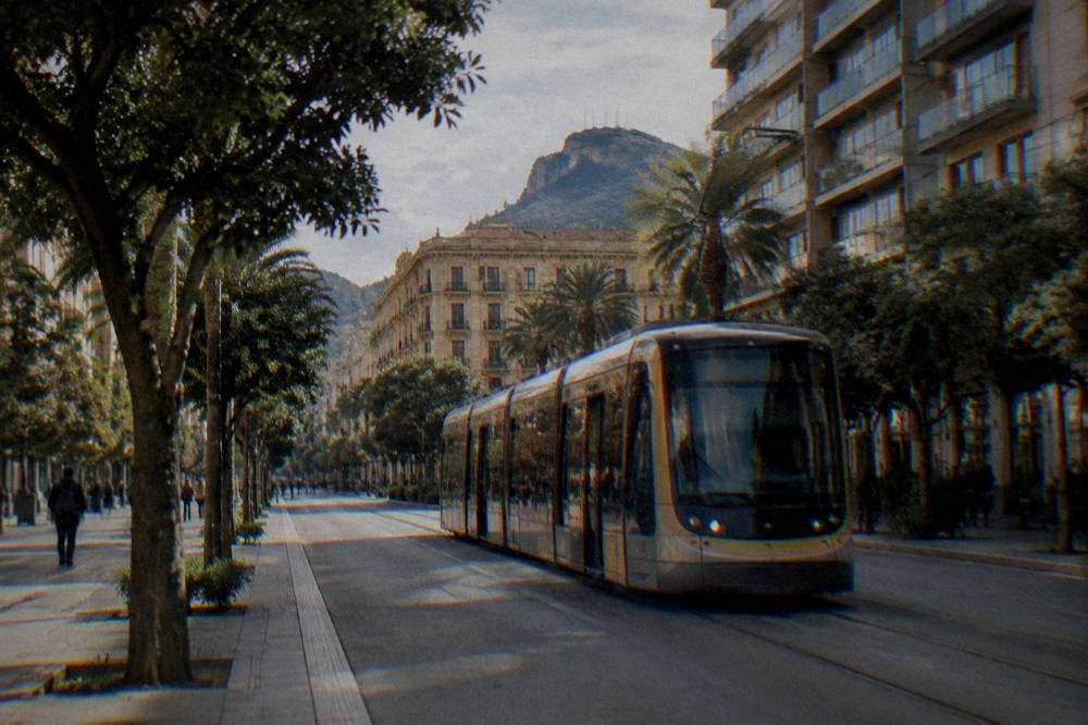 A Palermo tram passing modern buildings on a tree-lined avenue