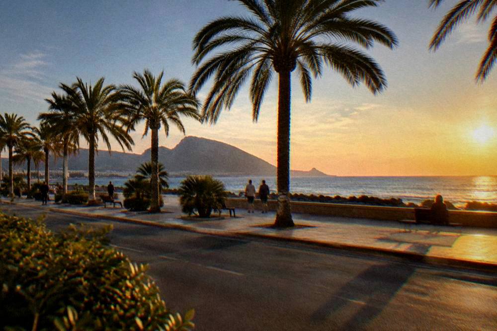 The seafront at Foro Italico in Palermo with palm trees and the sea beyond at golden hour
