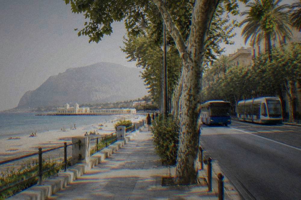 City bus and tram on a tree-lined avenue in Palermo under summer light