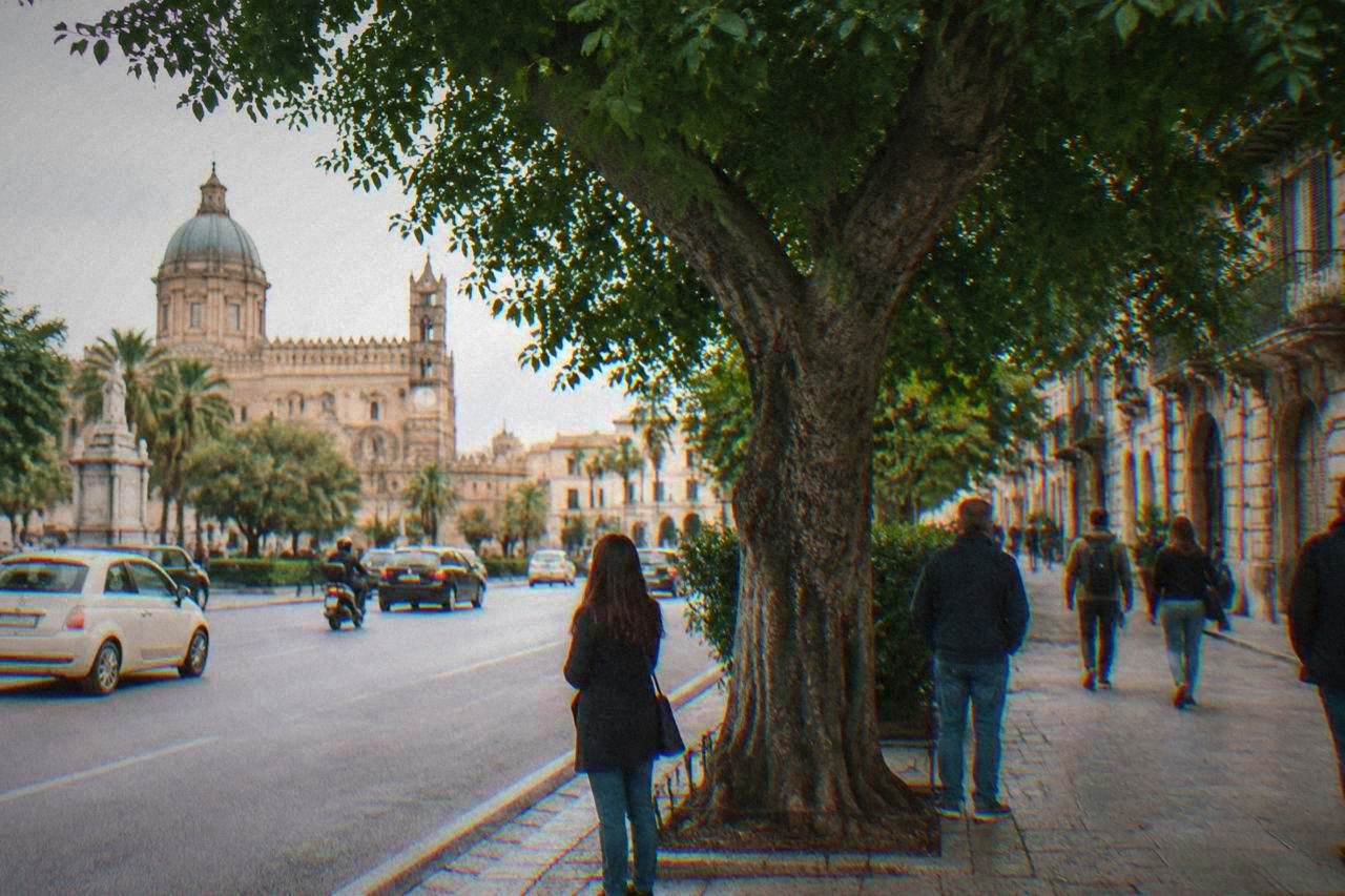 A large leafy tree standing beside a busy city street in Palermo with people pausing near its trunk