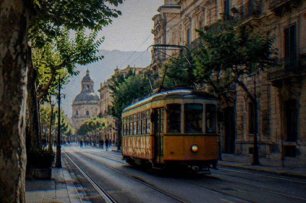 A Palermo tram passing elegant buildings on a tree-lined city street