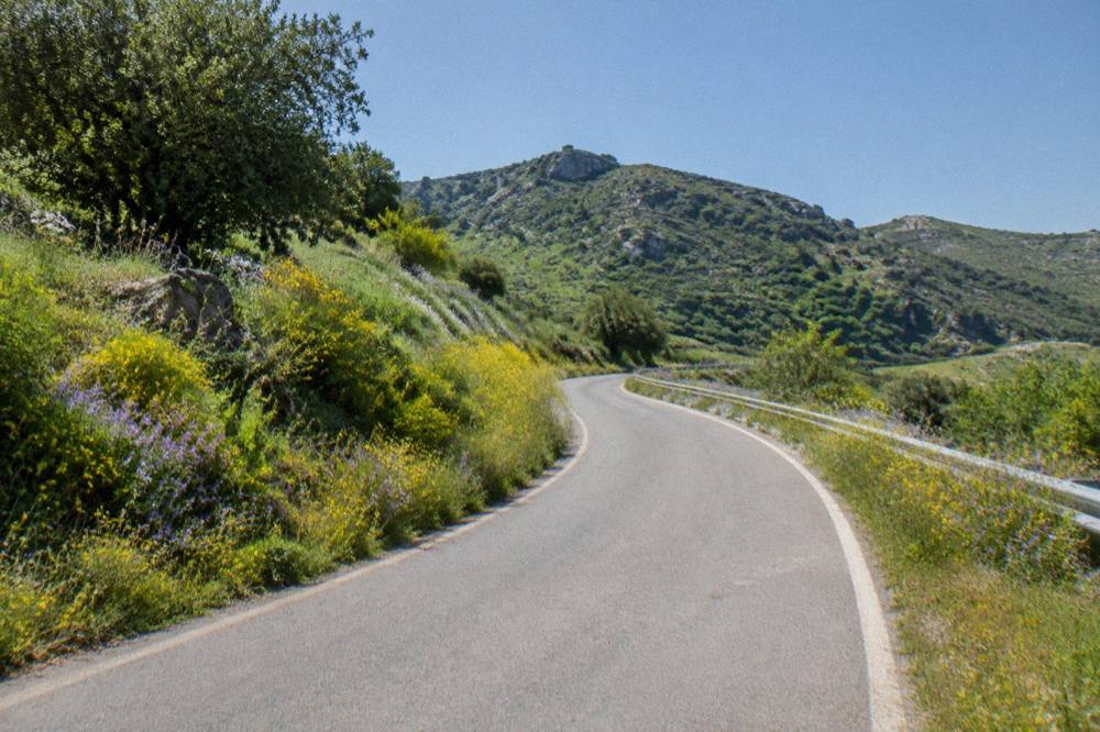 An inland Sicilian road in spring with wildflowers and green hills under a clear sky