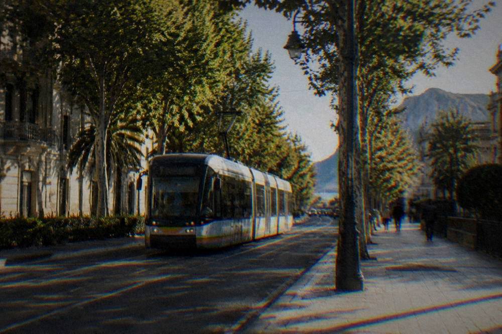 A tram moving along a tree-lined avenue in central Palermo