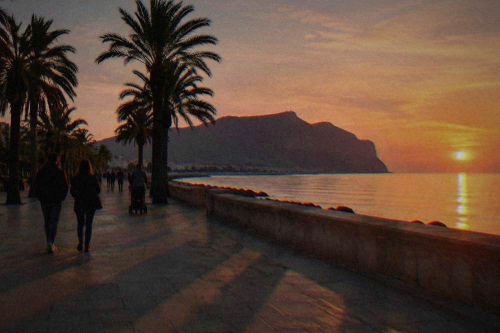 The seafront promenade at sunset with long palm shadows and a dark headland across the glowing sea