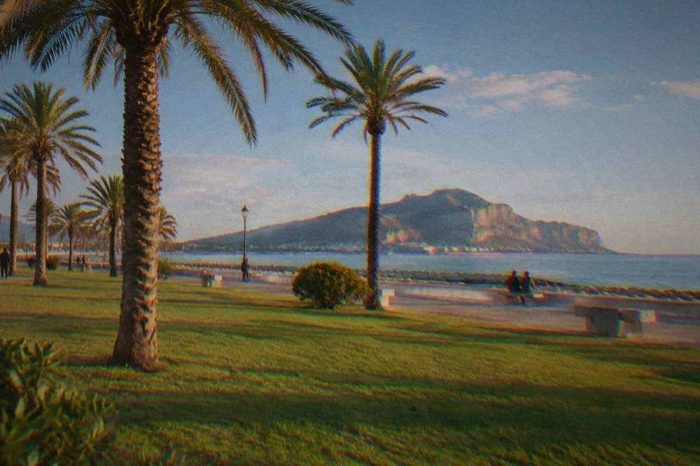 A seafront lawn and promenade with palms looking across calm water to a limestone headland
