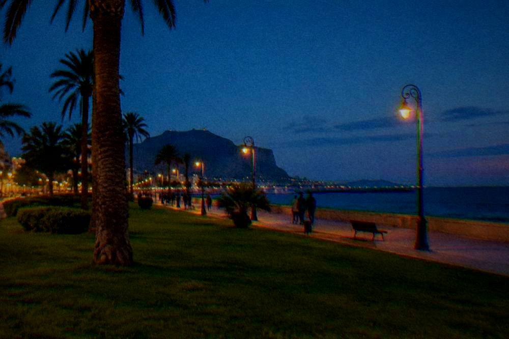 A seafront promenade at blue hour with lamps lit, palms and the dark sea