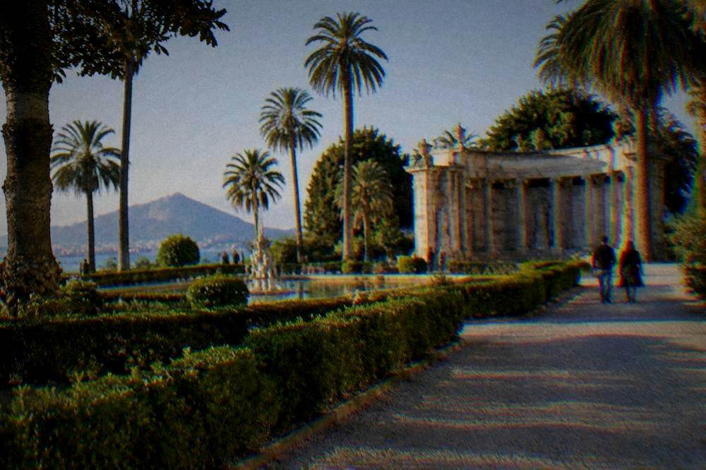 A formal garden with clipped hedges, a gravel path, a stone exedra and tall palms