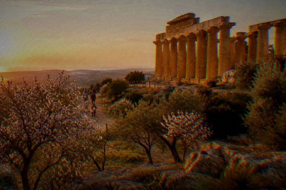 Ancient Greek temple columns on a limestone ridge among almond and olive trees in warm light