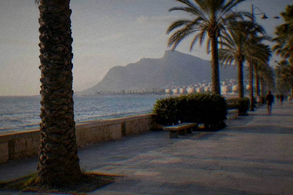 Seafront promenade in Palermo with palm trees and the sea beyond at late afternoon