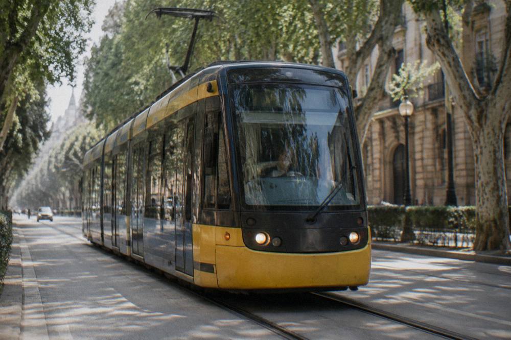 A Palermo tram moving along a tree-lined avenue in the new city